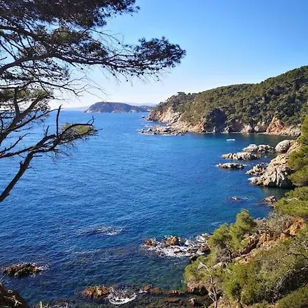 Con Piscina L' áncora